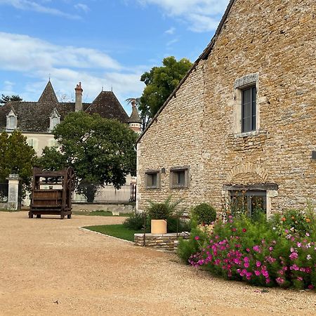 Chateau Du Mauny, Gites Et Chambres D'Hotes En Bourgogne Rosey المظهر الخارجي الصورة