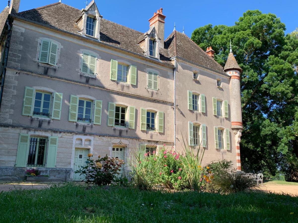 Chateau Du Mauny, Gites Et Chambres D'Hotes En Bourgogne Rosey المظهر الخارجي الصورة