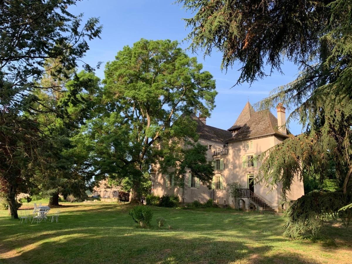 Chateau Du Mauny, Gites Et Chambres D'Hotes En Bourgogne Rosey المظهر الخارجي الصورة