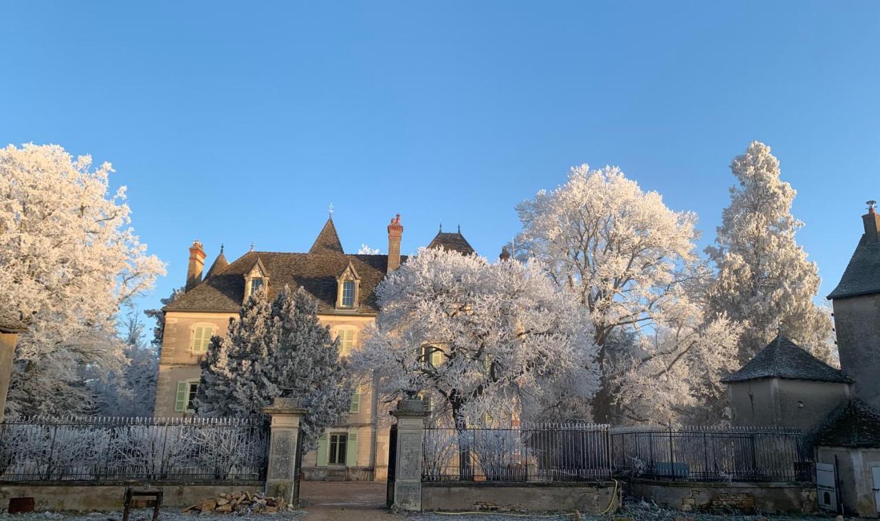 Chateau Du Mauny, Gites Et Chambres D'Hotes En Bourgogne Rosey المظهر الخارجي الصورة
