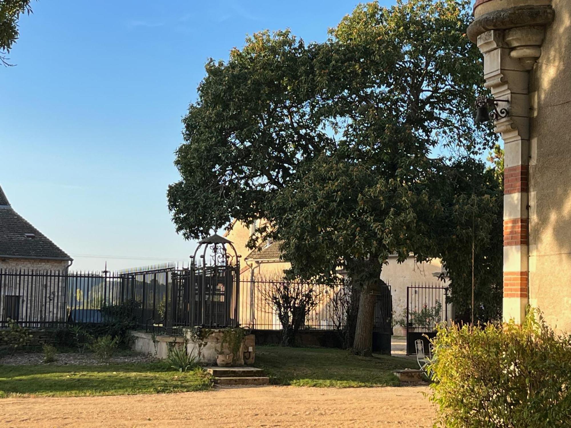 Chateau Du Mauny, Gites Et Chambres D'Hotes En Bourgogne Rosey المظهر الخارجي الصورة